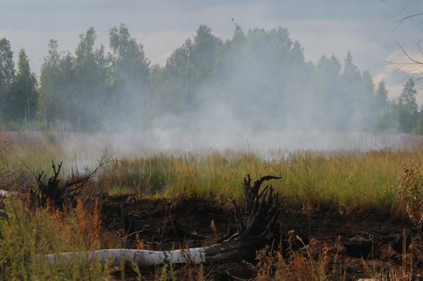 The Russian Ministry of Emergency Situations has discovered a large peat fire spread over 20 hectares in the Bryansk Region - Sputnik International