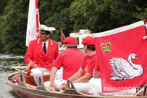 Counting swans on the Thames, since the12th century  - Sputnik International
