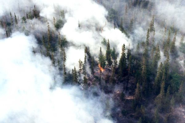 Rescuers evacuate village in Russia's south from approaching wildfire - Sputnik International
