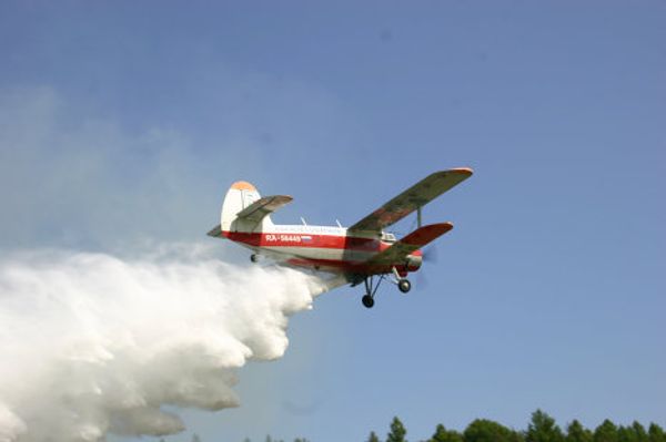 Air patrol helps fight forest fires - Sputnik International