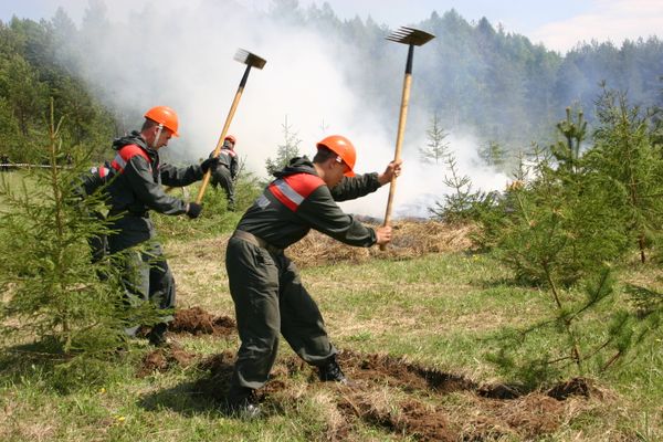 Firefighters put out all forest fires in Siberia - Sputnik International