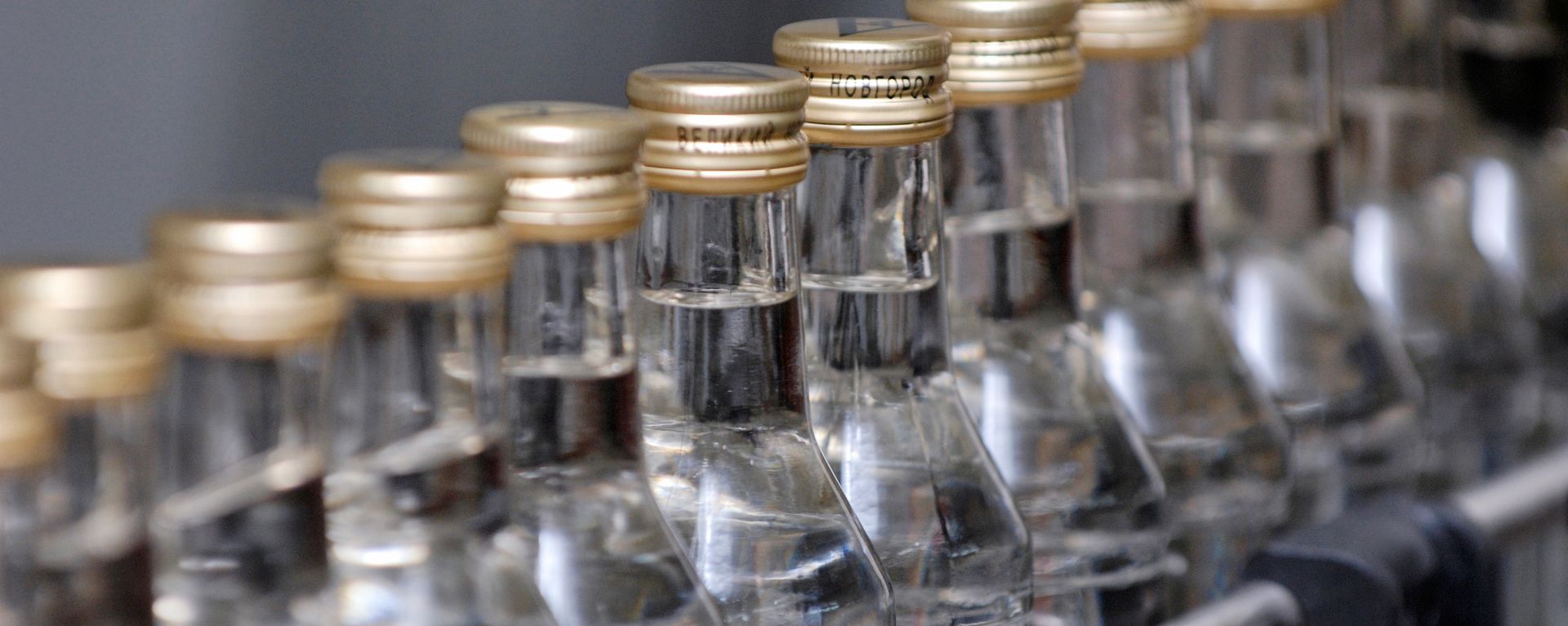 Russian alcohol production. File photo. Russian alcohol production. File photo. - Sputnik International, 1920, 04.10.2023