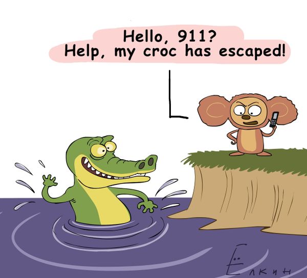 Crocodile escape - Sputnik International