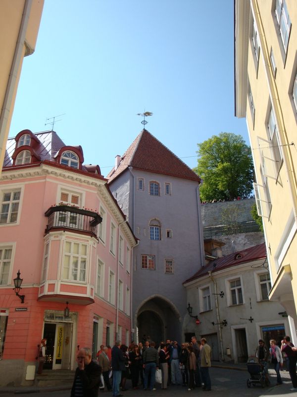 Tallinn - Sputnik International