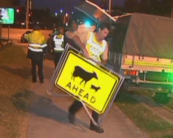 Wild deer run rampage through Australian town - Sputnik International