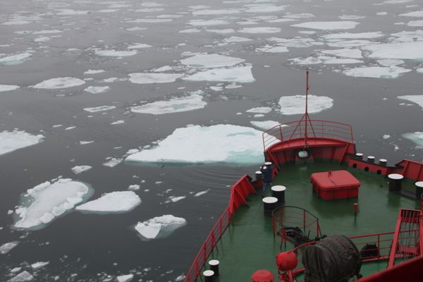 From Murmansk to Tiksi  via Northern Sea Route - Sputnik International