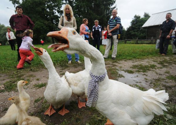 Novgorod Region celebrates Saviors festival  - Sputnik International
