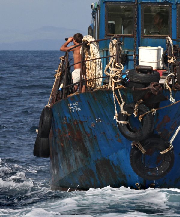 Vacationers kill 4-meter shark in Russia's Far East  - Sputnik International