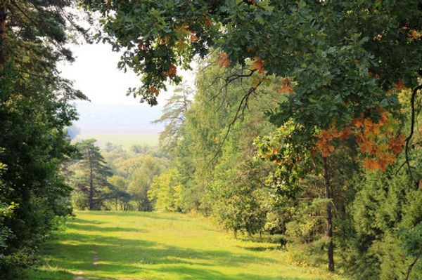 A painter’s dream: the Polenov Estate on the Oka  - Sputnik International