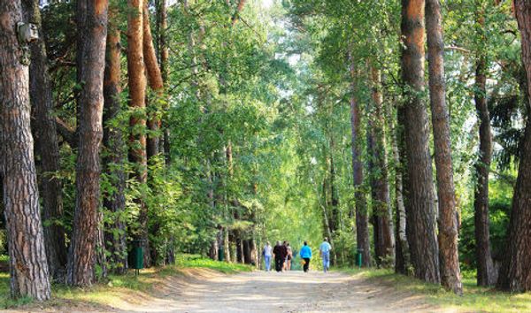 A painter’s dream: the Polenov Estate on the Oka  - Sputnik International