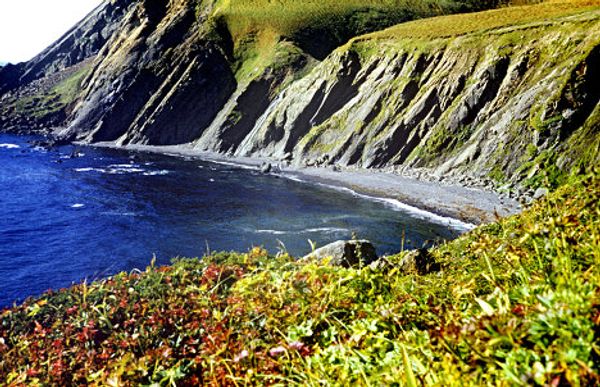Commander Islands, the land of wind and fog - Sputnik International