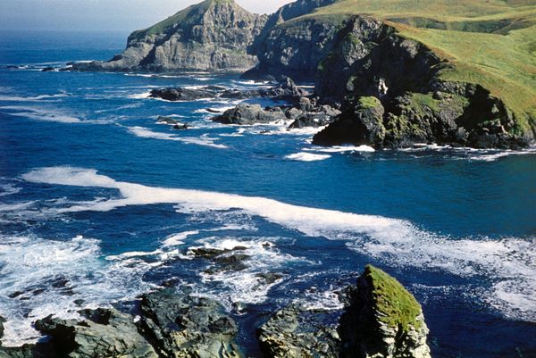 Commander Islands, the land of wind and fog - Sputnik International
