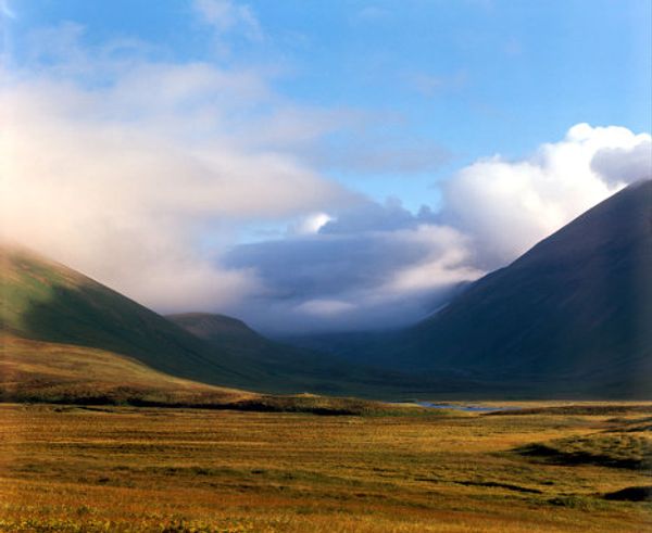 Commander Islands, the land of wind and fog - Sputnik International