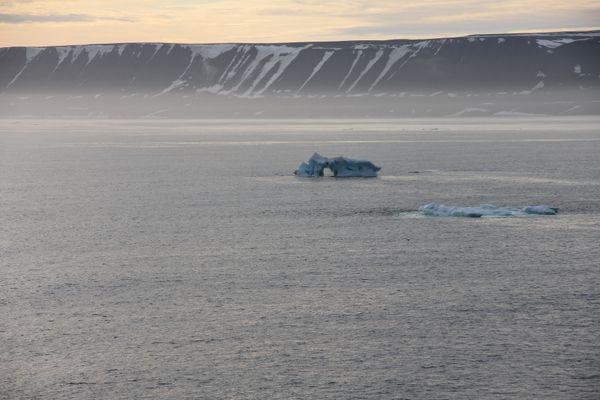 Rosneft, ExxonMobil to begin seismic exploration of Arctic in 2 years - Sputnik International
