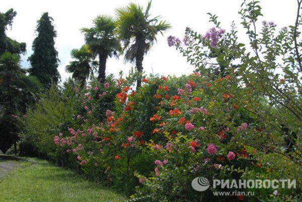 Photo trip with RIA Novosti: Batumi  - Sputnik International