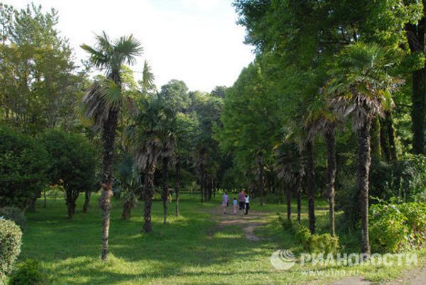 Photo trip with RIA Novosti: Batumi  - Sputnik International