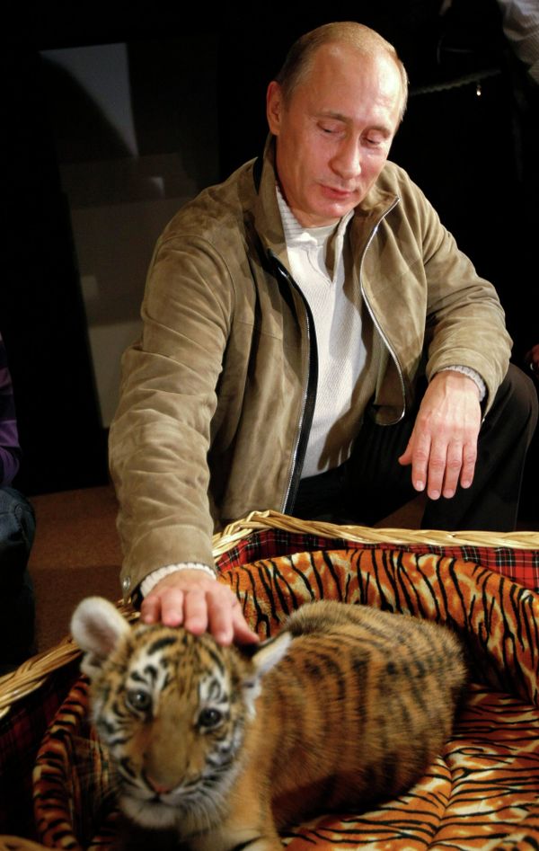 Celebrating Our Furry Friends: World Animal Day - Sputnik International