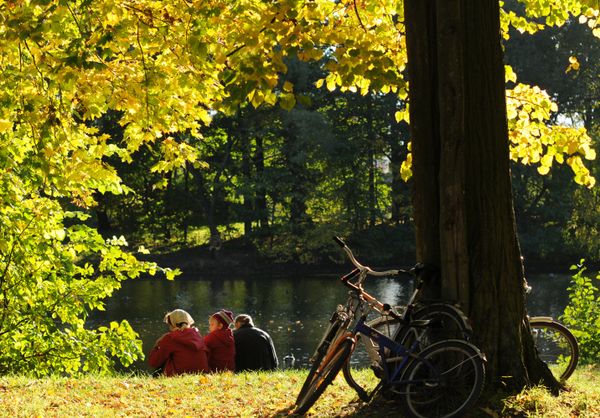 Moscow enjoys record warm weather over weekend - Sputnik International