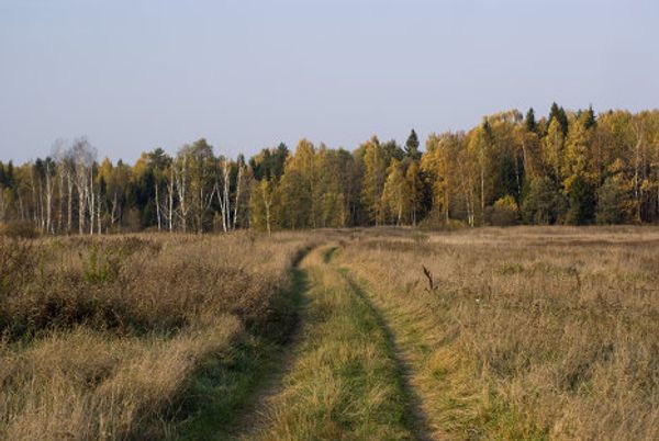 Indian summer in Russian cities - Sputnik International