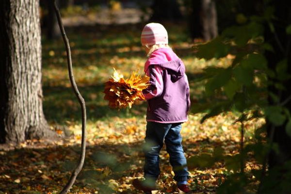 Indian summer in Russian cities - Sputnik International