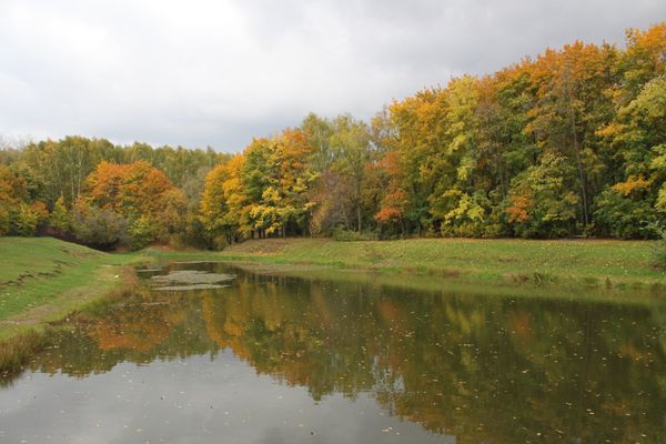 Indian summer in Russian cities - Sputnik International