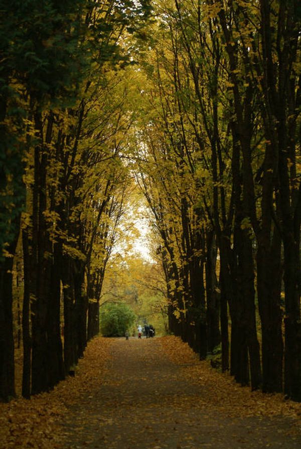 Indian summer in Russian cities - Sputnik International