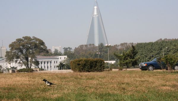 Russia's efforts in bringing North Korea back to the six-party nuclear talks are encouraging, the executive secretary of the Provisional Secretariat of the Preparatory Commission for the Comprehensive Nuclear-Test Ban Treaty Organization said - Sputnik International