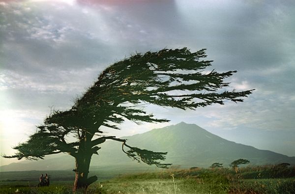 The Kuril Islands - Sputnik International