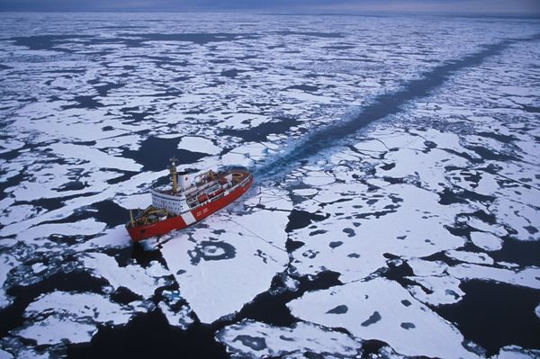 Russia to build four $640 mln diesel icebreakers - Sputnik International