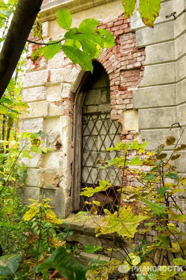 Gothic castle in rural Russia - Sputnik International