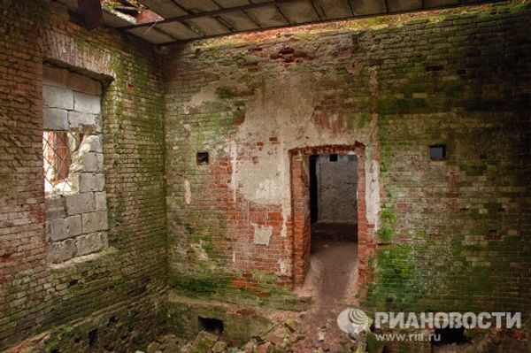 Gothic castle in rural Russia - Sputnik International
