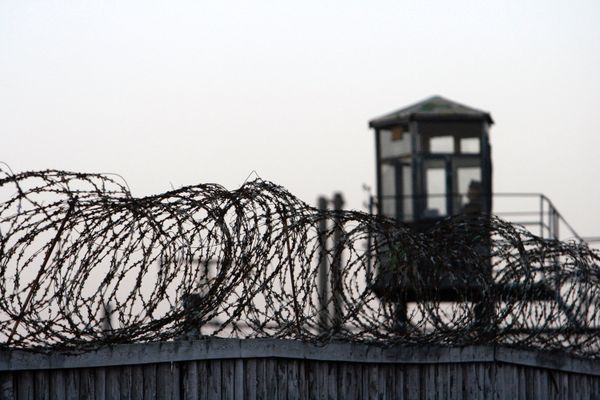Council of Europe Welcomes Russian Torture Report Response - Sputnik International