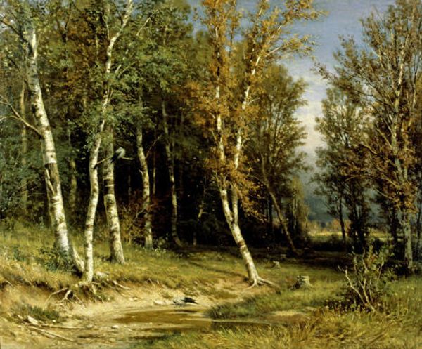 Ivan Shishkin's Russian Forest - Sputnik International