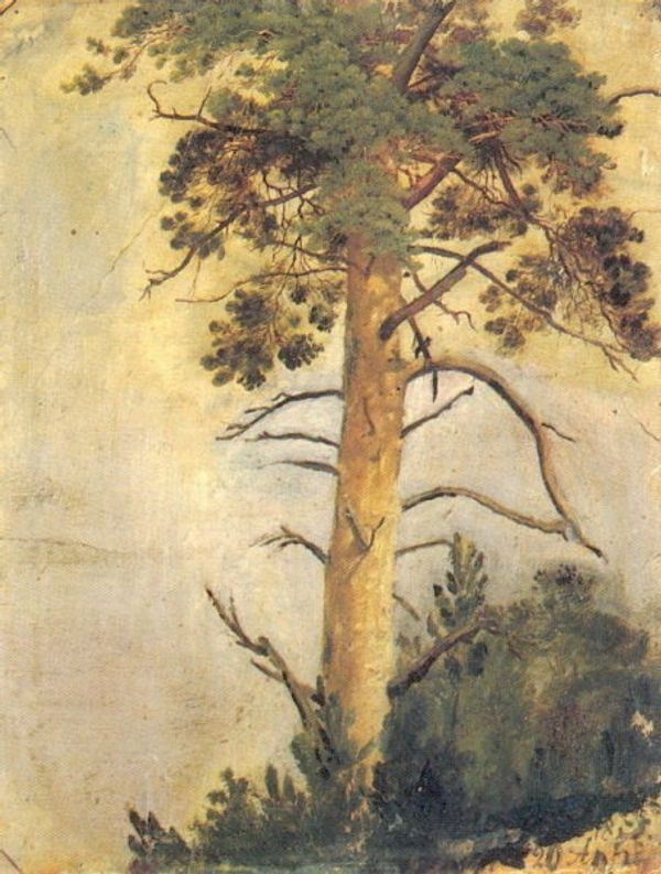 Ivan Shishkin's Russian Forest - Sputnik International
