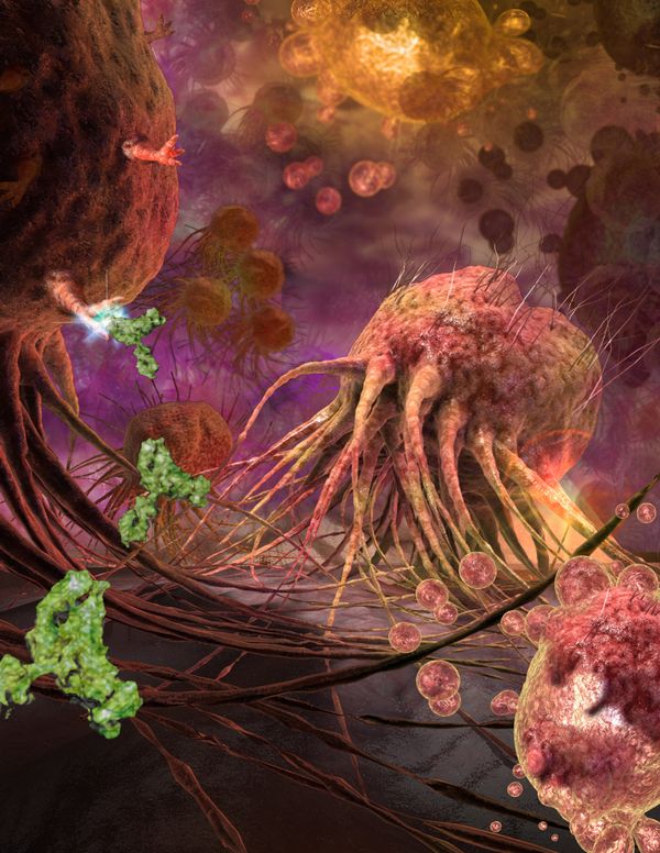 The Best Scientific Illustrations, Video Games and Graphics of 2011 - Sputnik International