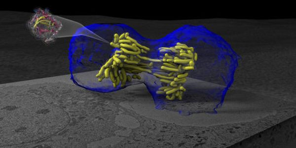 The Best Scientific Illustrations, Video Games and Graphics of 2011 The Best Scientific Illustrations, Video Games and Graphics of 2011 - Sputnik International