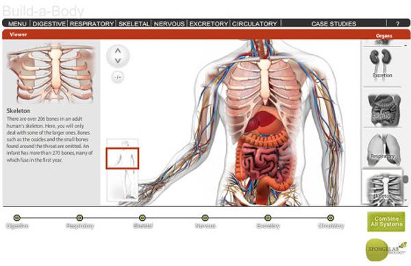The Best Scientific Illustrations, Video Games and Graphics of 2011 The Best Scientific Illustrations, Video Games and Graphics of 2011 - Sputnik International