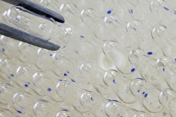 Russian scientists from the Microgen company have developed and patented new technology used in the creation of a split-virus vaccine. - Sputnik International