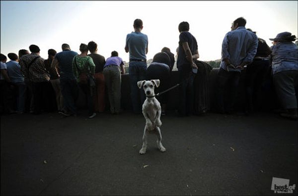 Photographs by RIA Novosti – winners of The Best of Russia 2011  - Sputnik International