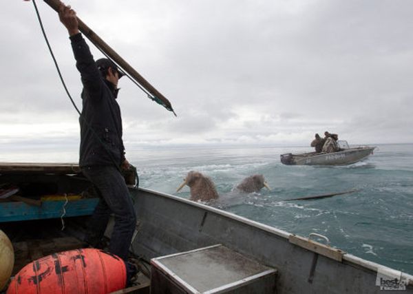 Photographs by RIA Novosti – winners of The Best of Russia 2011  - Sputnik International