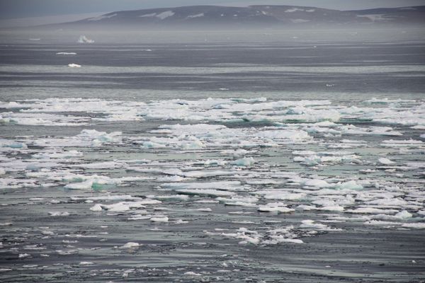 Russia, Norway to Conduct Joint Naval Drills in the Arctic - Sputnik International