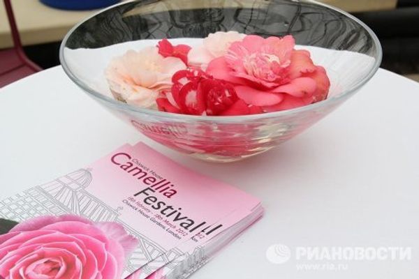 London Camellia Festival - Sputnik International