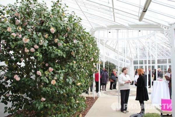 London Camellia Festival - Sputnik International
