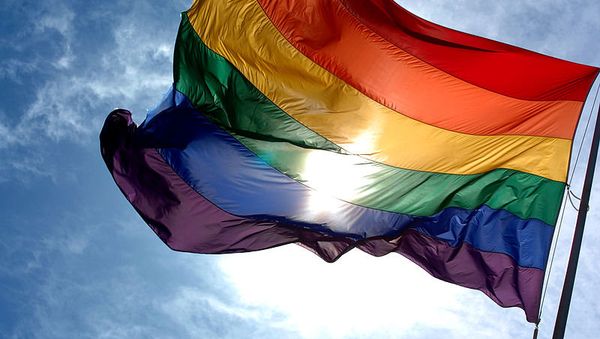 LGBT pride flag - Sputnik International