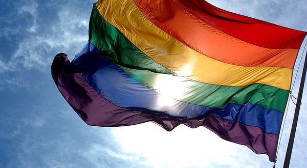 The rainbow flag symbolizes gay pride The rainbow flag symbolizes gay pride - Sputnik International