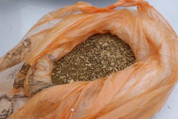 Police Foil Major Gold Smuggling Attempt at Russia-China Border         - Sputnik International