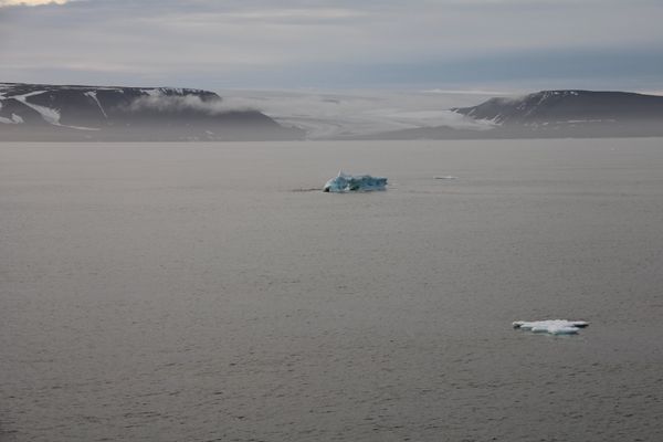 Arctic - Sputnik International