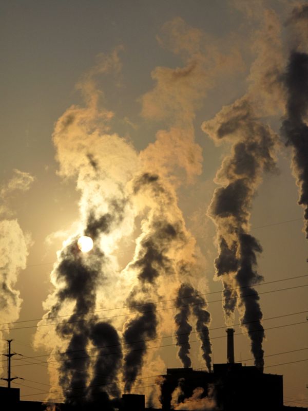 Russia Near Last in Environment Protection Ranking - Sputnik International
