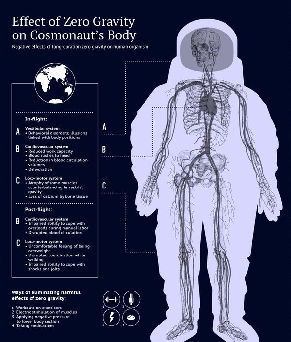 Effect of Zero Gravity on Cosmonaut's Body Effect of Zero Gravity on Cosmonaut's Body - Sputnik International