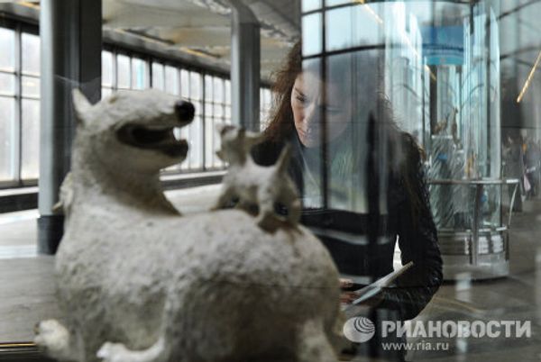Darwin Museum Exhibit Kicks off in Moscow Subway - Sputnik International